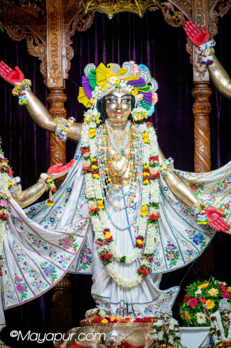 Daily Darshan