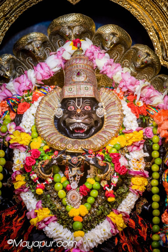 Daily Darshan