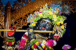 Daily Darshan