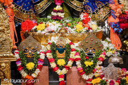 Daily Darshan