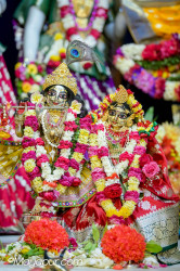 Daily Darshan