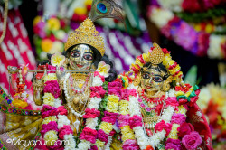 Daily Darshan