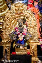 Daily Darshan