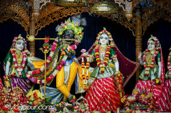 Daily Darshan