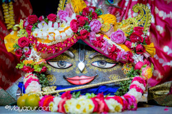 Daily Darshan