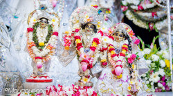 Daily Darshan
