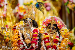 Daily Darshan