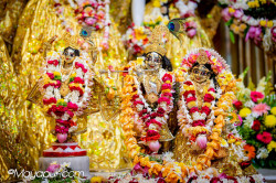 Daily Darshan