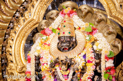 Daily Darshan