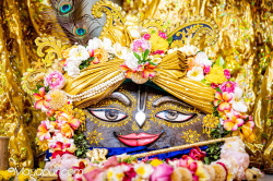 Daily Darshan