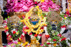 Daily Darshan