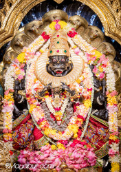 Daily Darshan