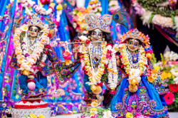 Daily Darshan