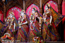 Daily Darshan