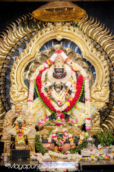 Daily Darshan