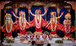 Daily Darshan