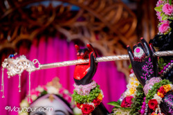 Daily Darshan