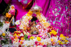 Daily Darshan