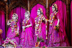 Daily Darshan