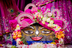 Daily Darshan
