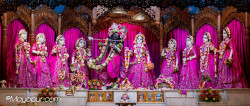Daily Darshan