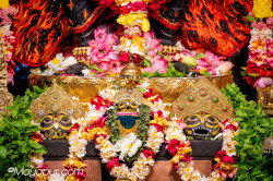 Daily Darshan