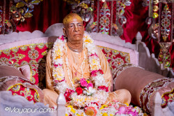 Daily Darshan