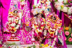 Daily Darshan