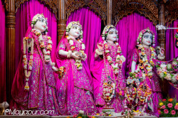 Daily Darshan