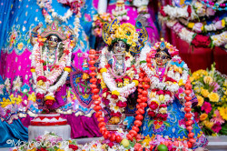Daily Darshan