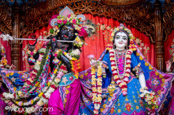 Daily Darshan