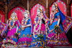 Daily Darshan