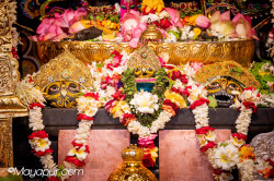 Daily Darshan