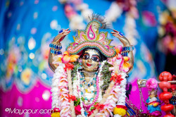 Daily Darshan