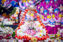 Daily Darshan