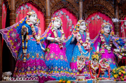 Daily Darshan