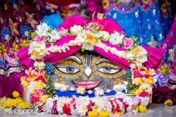 Daily Darshan