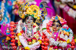 Daily Darshan
