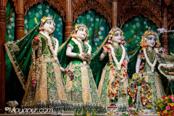 Daily Darshan