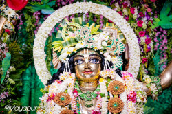 Daily Darshan