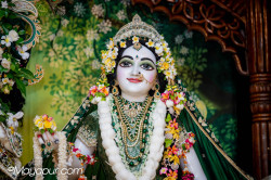Daily Darshan