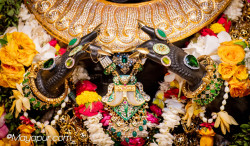 Daily Darshan