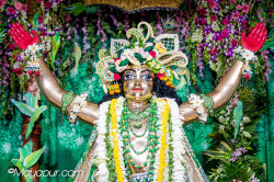 Daily Darshan
