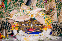 Daily Darshan