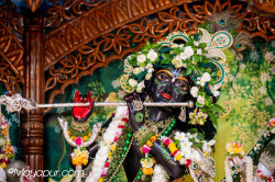 Daily Darshan