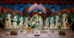Daily Darshan