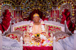 Daily Darshan