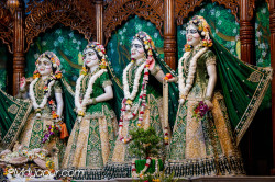 Daily Darshan