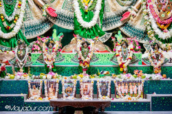 Daily Darshan