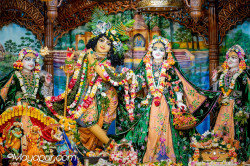 Daily Darshan